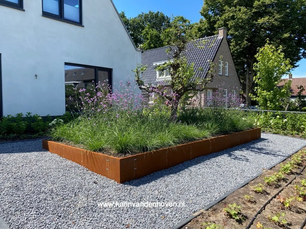 Verhoogde cortenstalen border met siergrassen en paarse bloemen