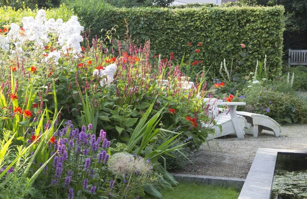 Kleurige border met haag als achtergrond