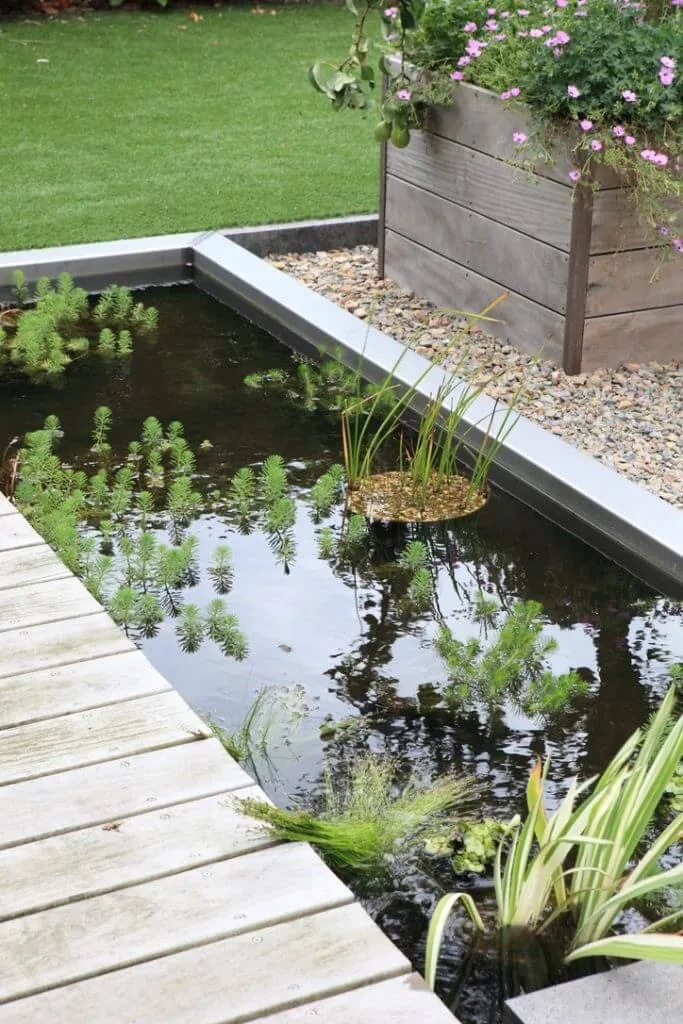 L-vormige vijver met houten vlonder