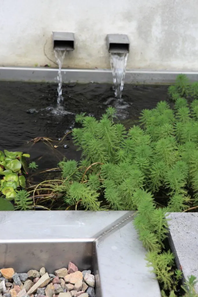 Waterornament met twee spuiten