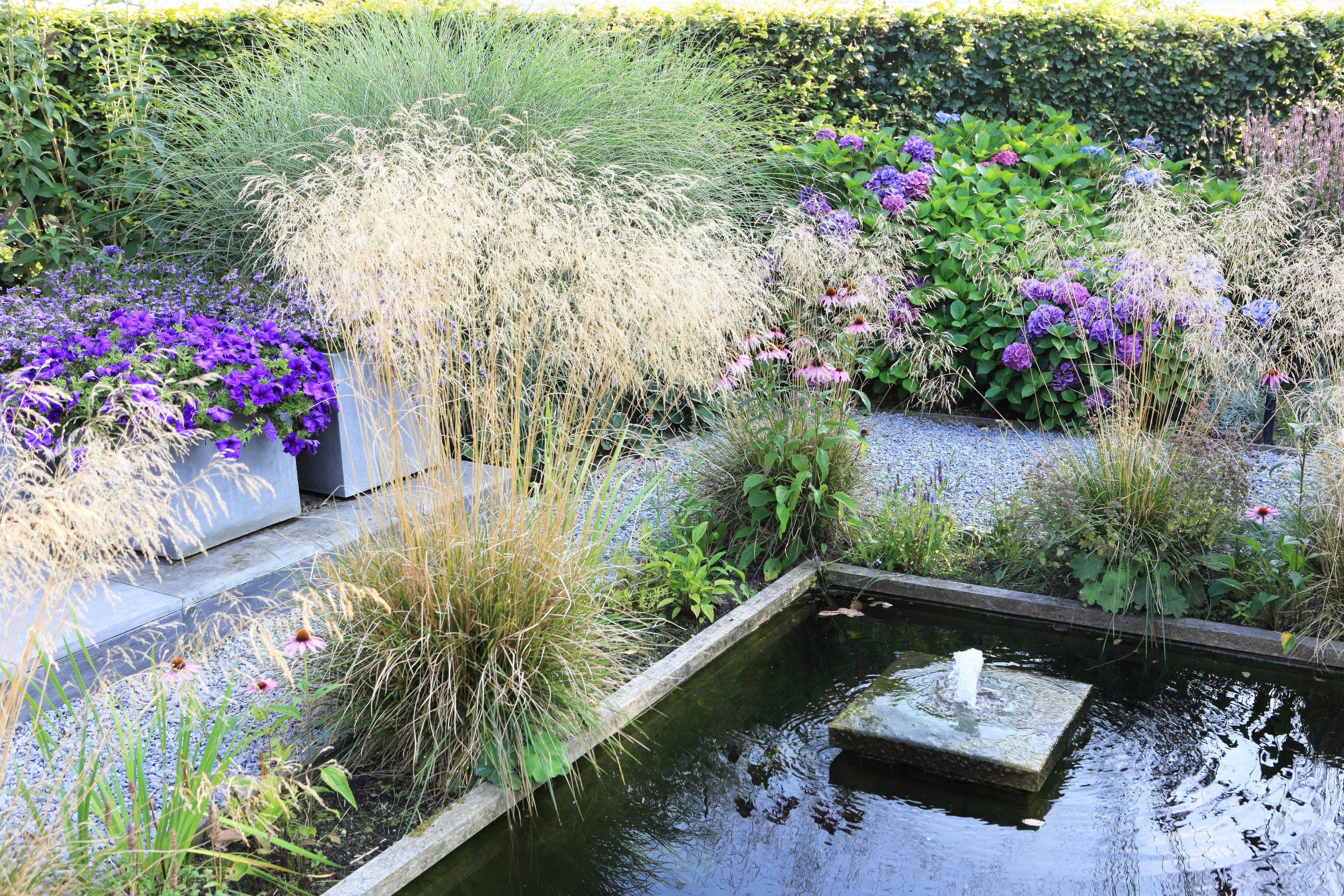 Kleine vijver met fontein, paarse hortensia's en siergrassen