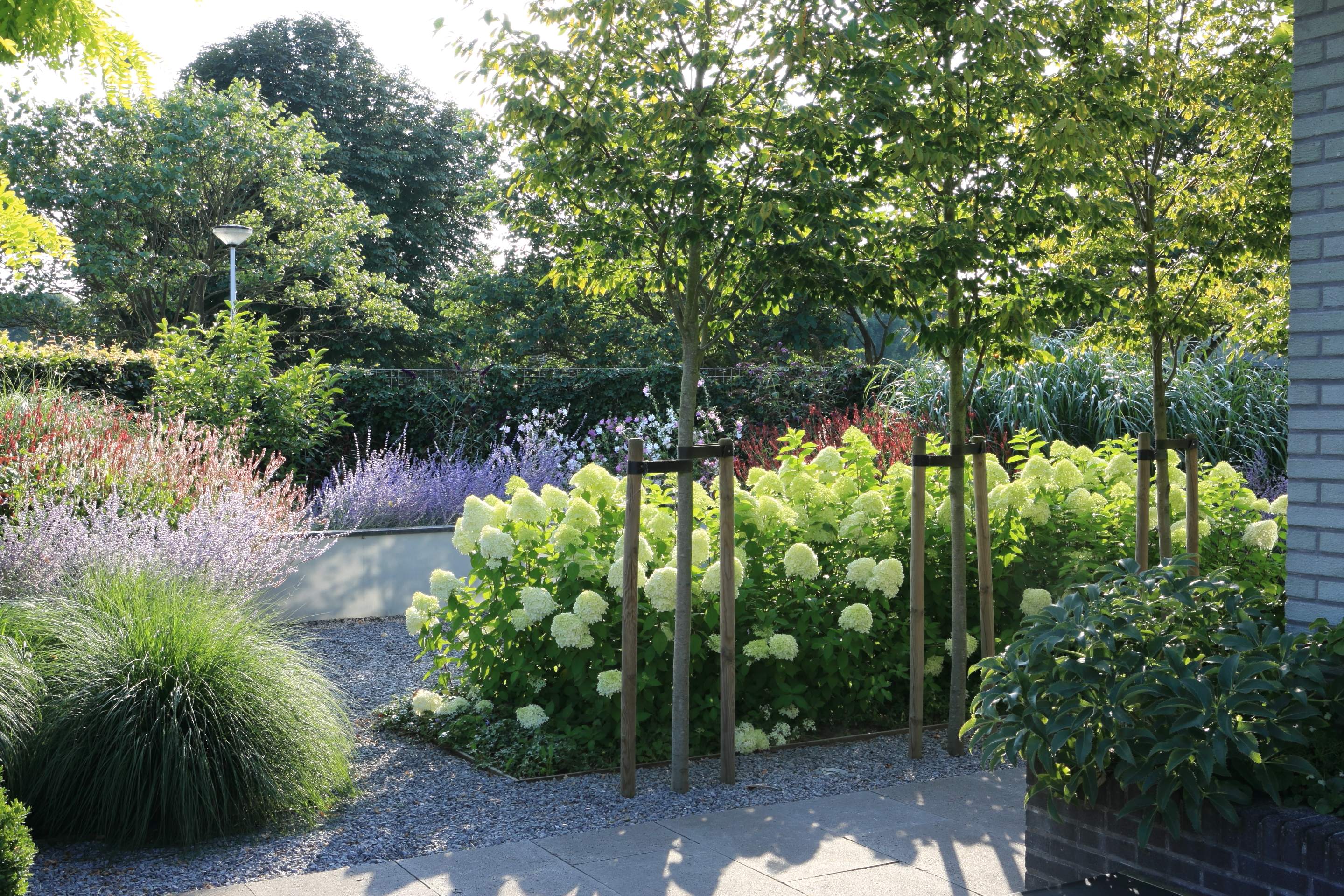 Grindpad met witte hortensia's, houten palen en gelaagde beplanting