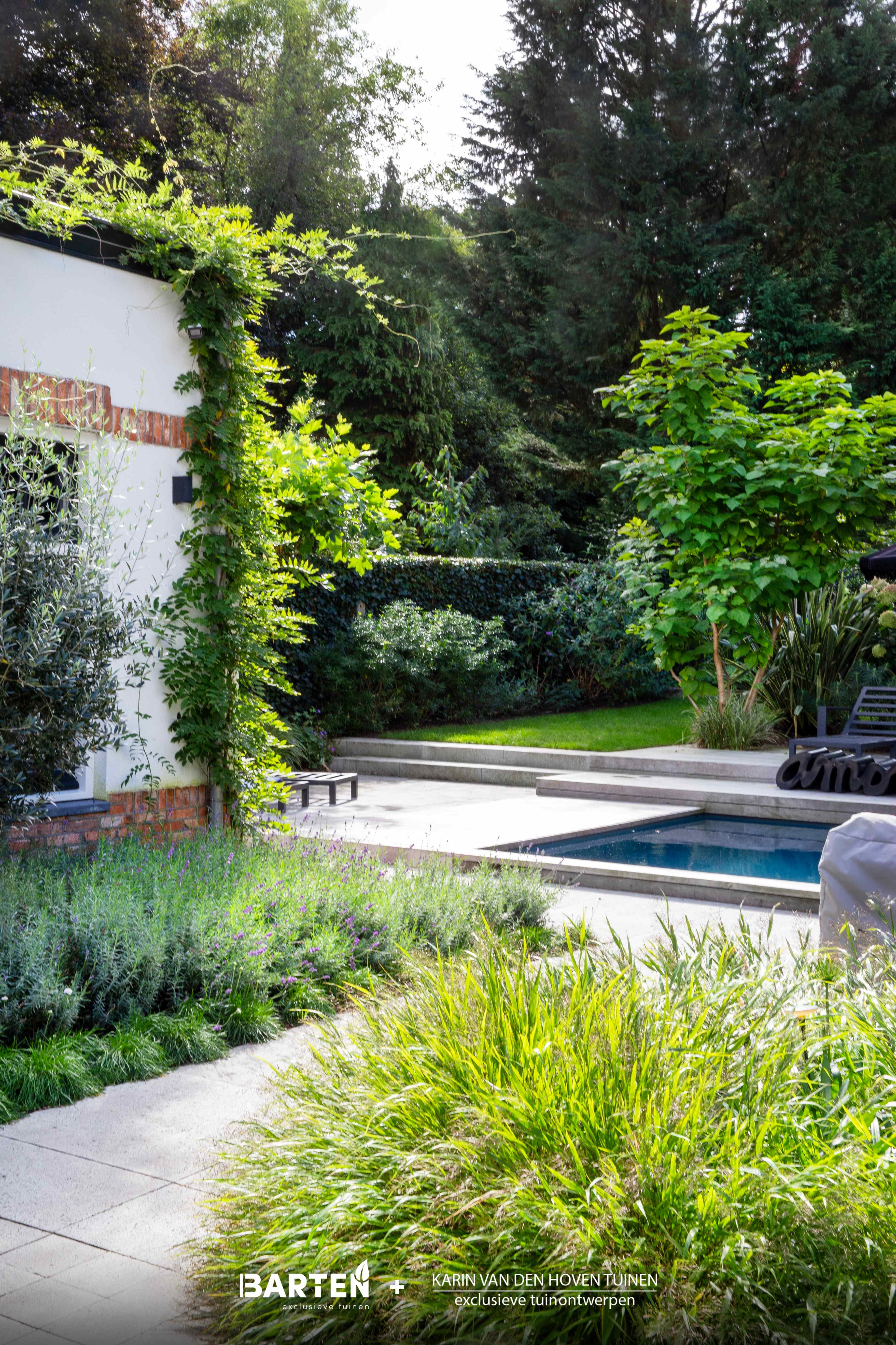 Zwembad met witte muren, klimop en gazon met siergrassen