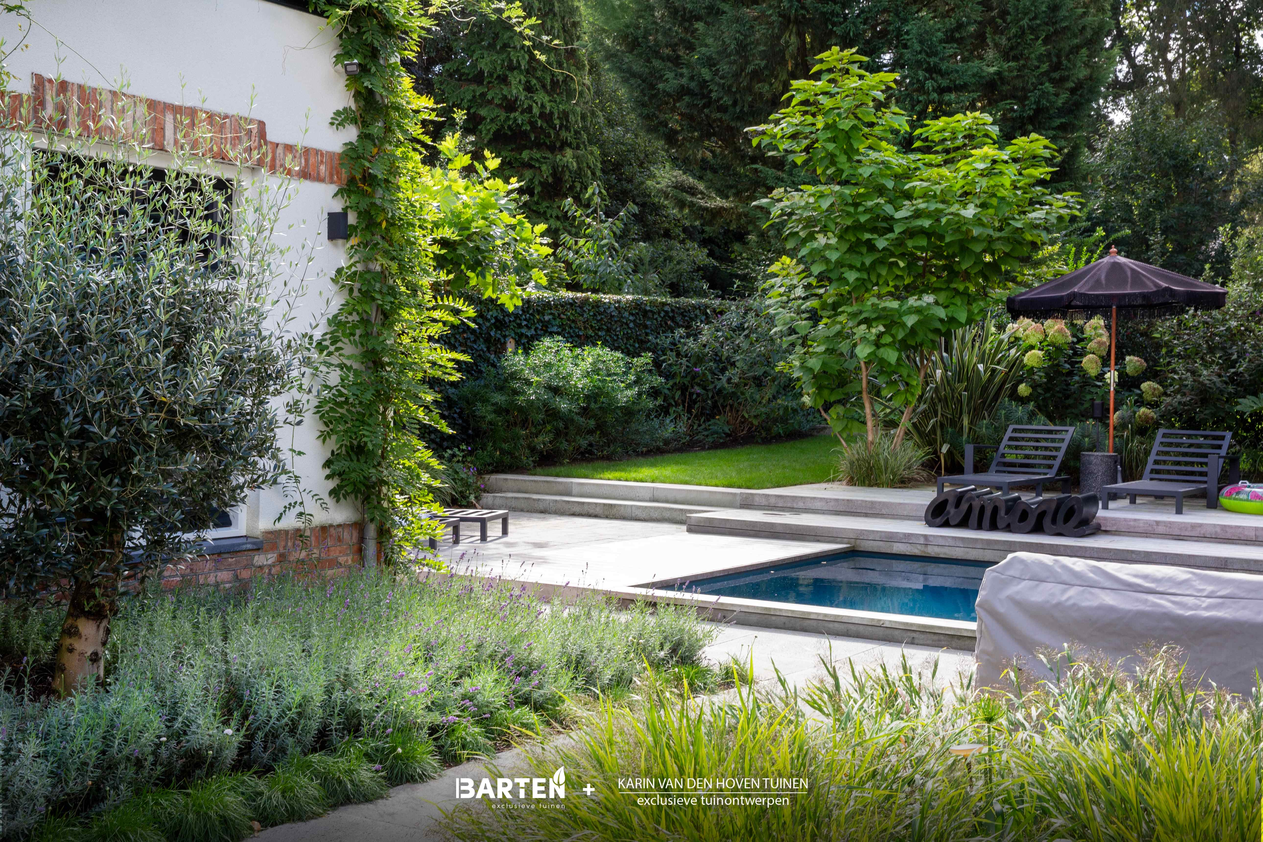 Overzicht zwembad met loungestoelen, parasol en gazon