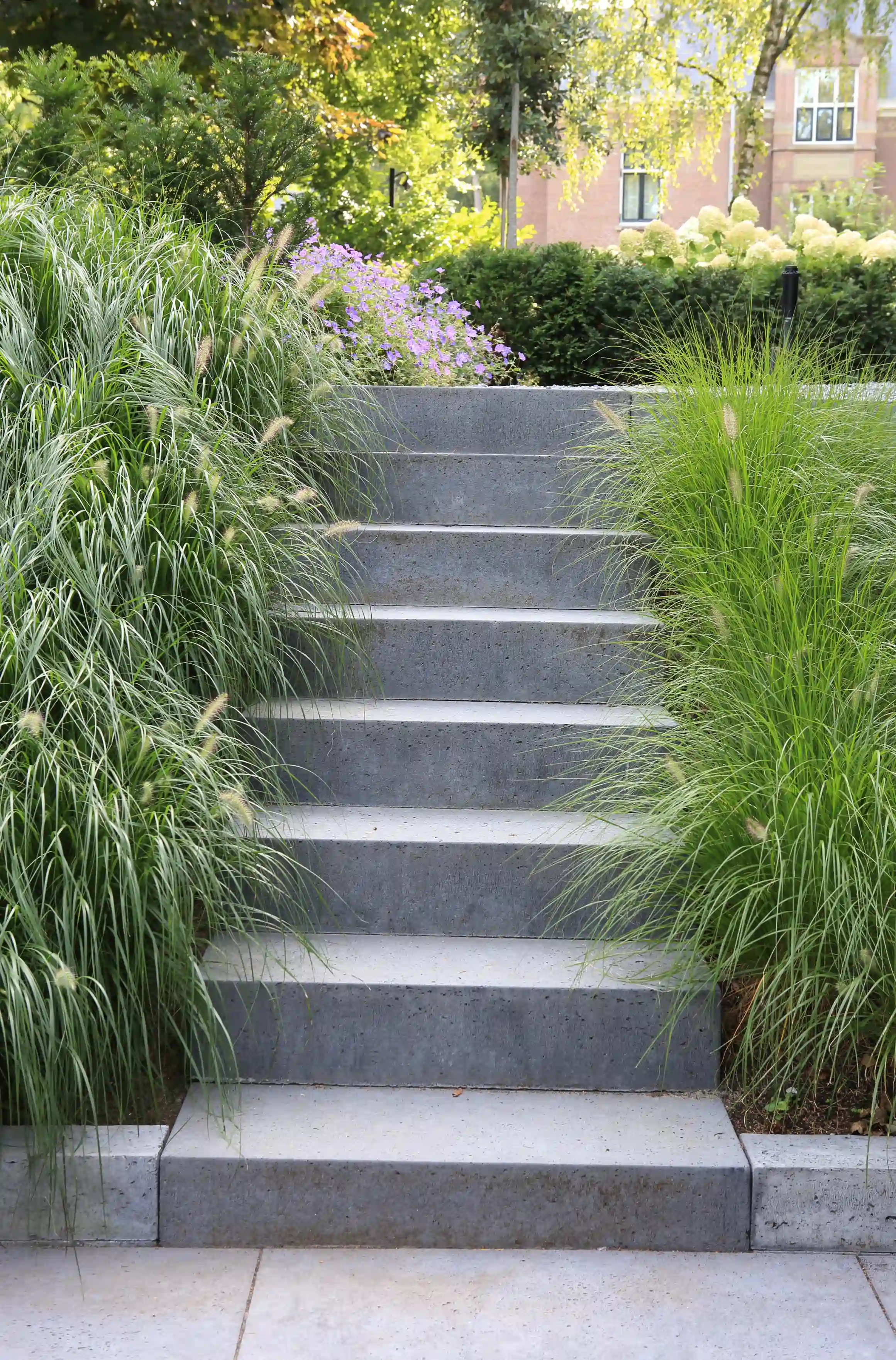 Betonnen traptreden met siergrassen en natuurlijke beplanting
