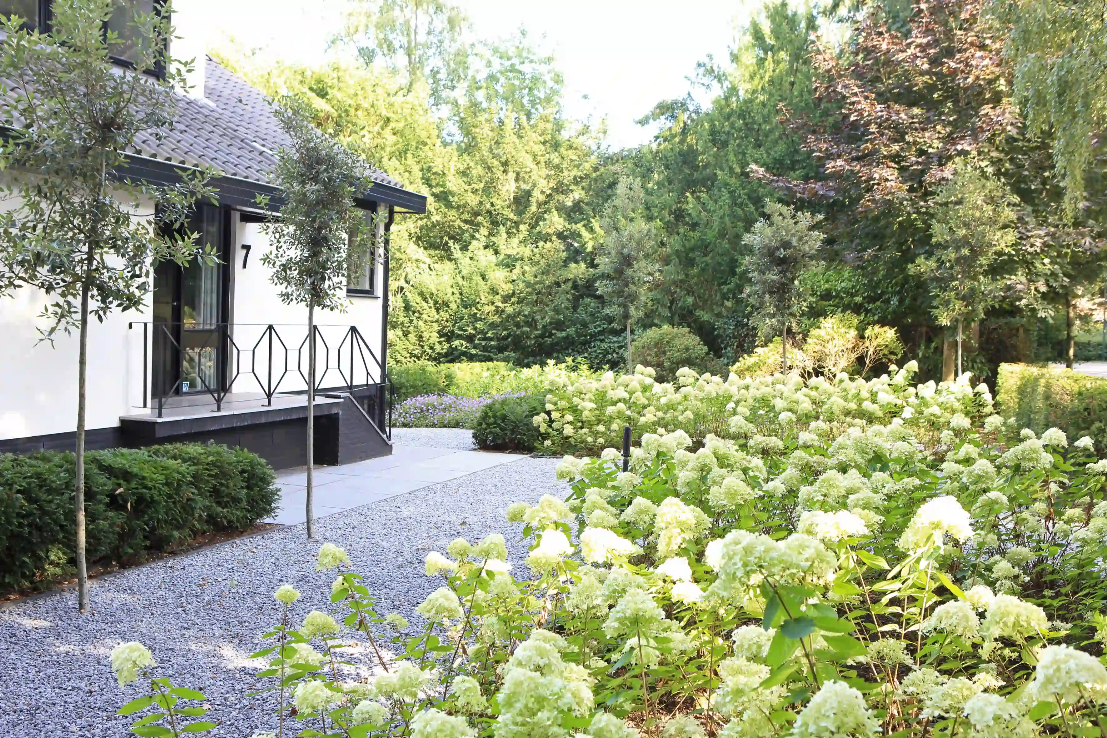 Voortuin met overvloedige witte hortensia's en grindpad