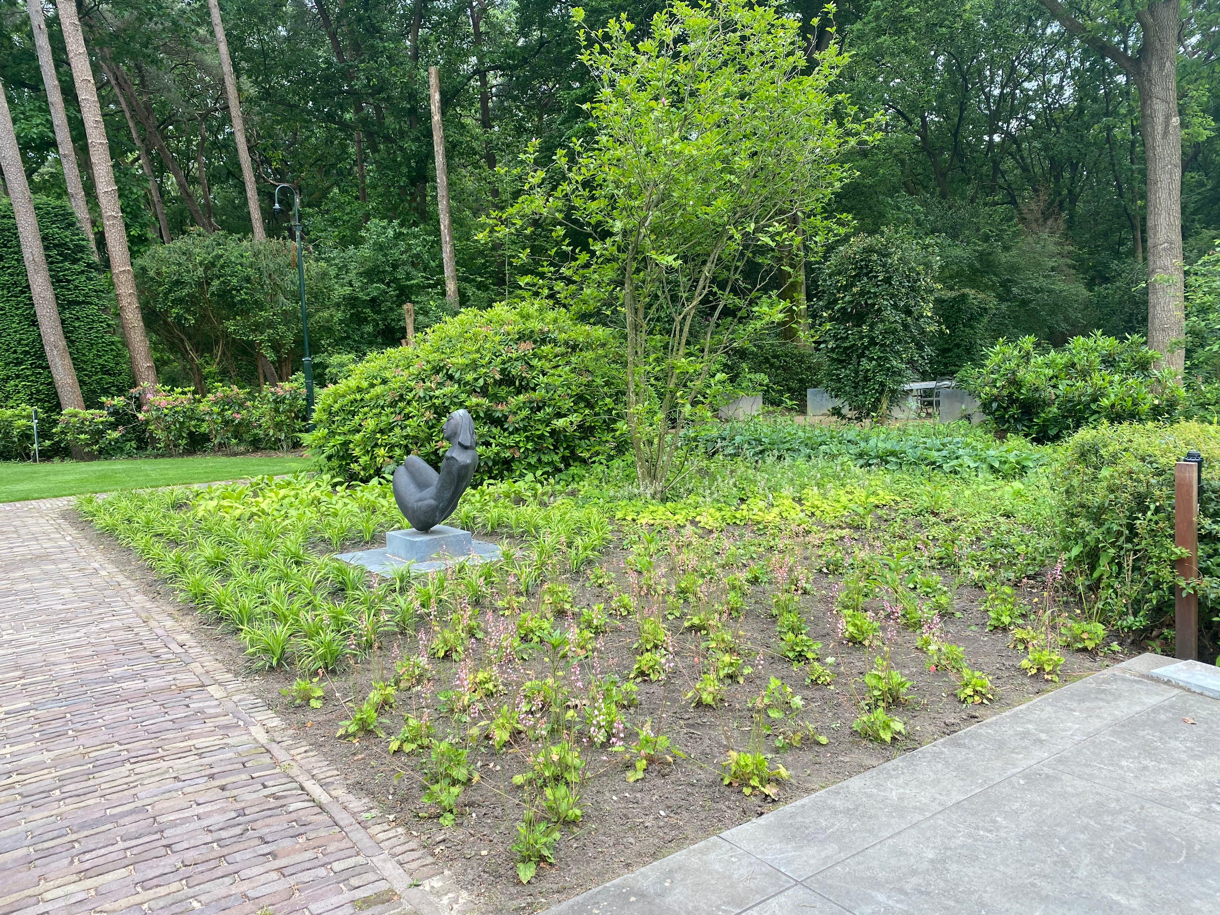Nieuw aangeplant gebied met bronzen sculptuur en jonge boom