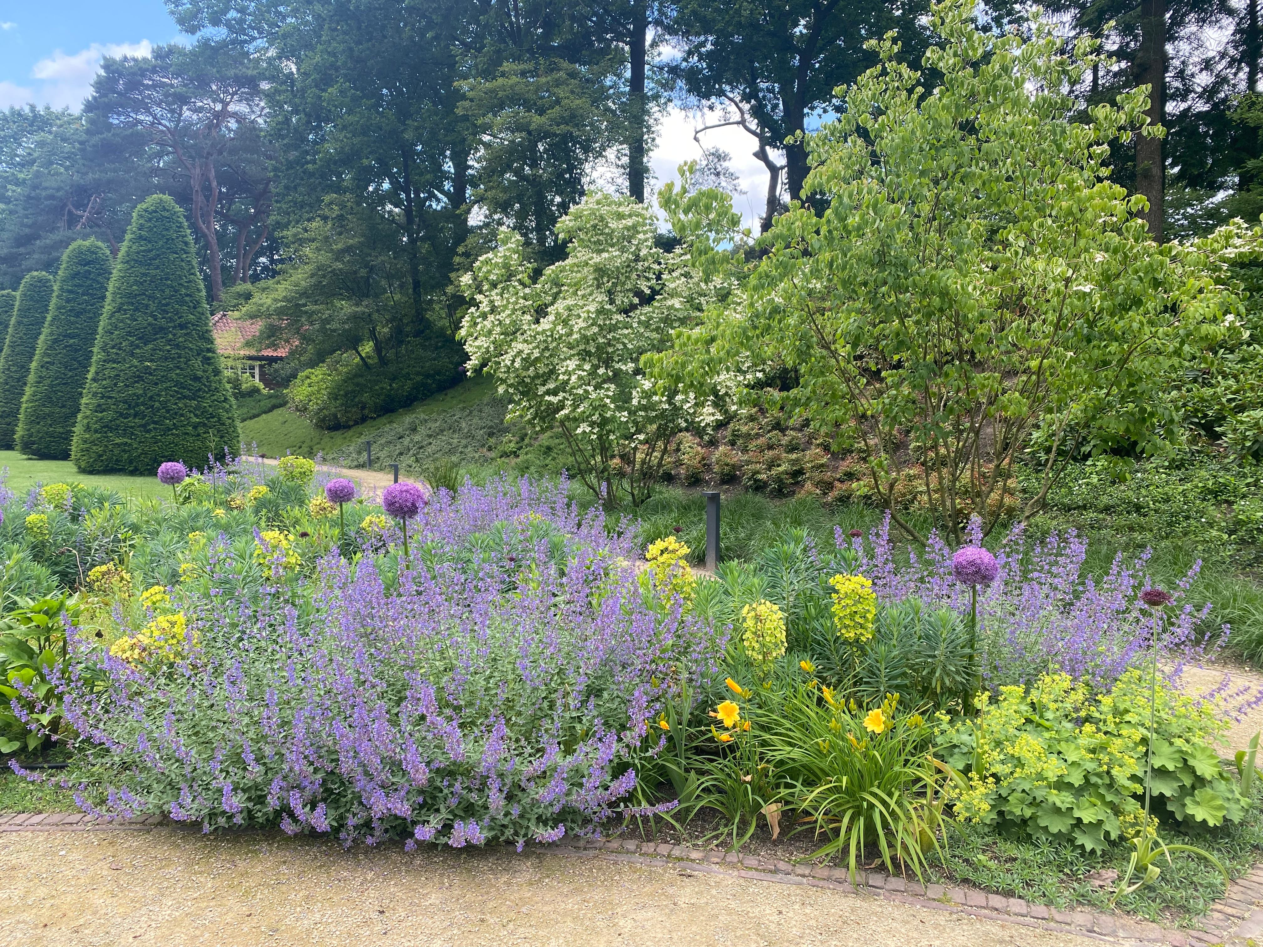 Weelderige dubbele bloemenborder met lavendel, Allium en daglelie