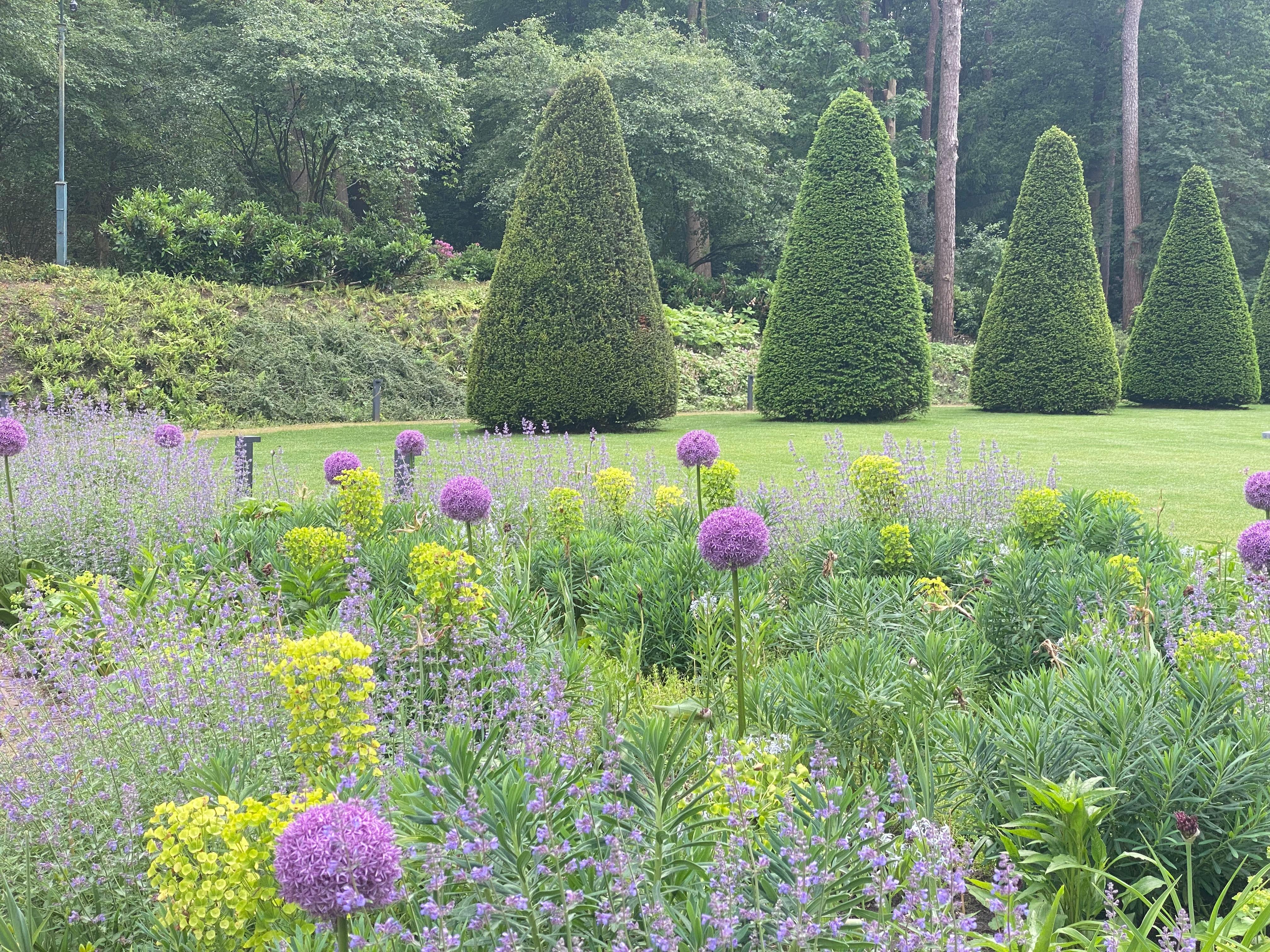 Vaste plantenborder met lavendel, Euphorbia, Allium en kegelvormige taxusbomen
