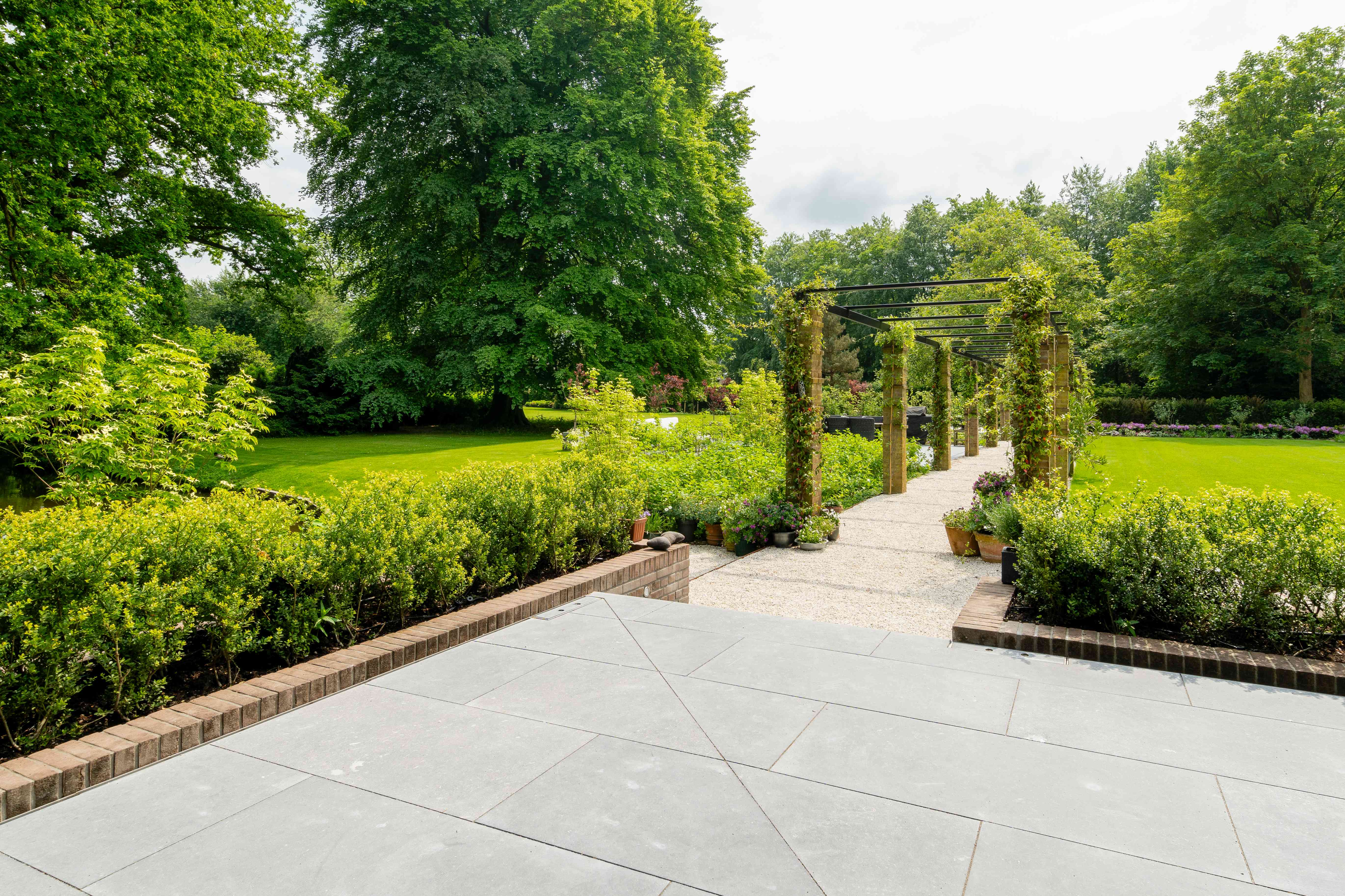 Tuinzicht met pergola, verharde vlakken en groene beplanting