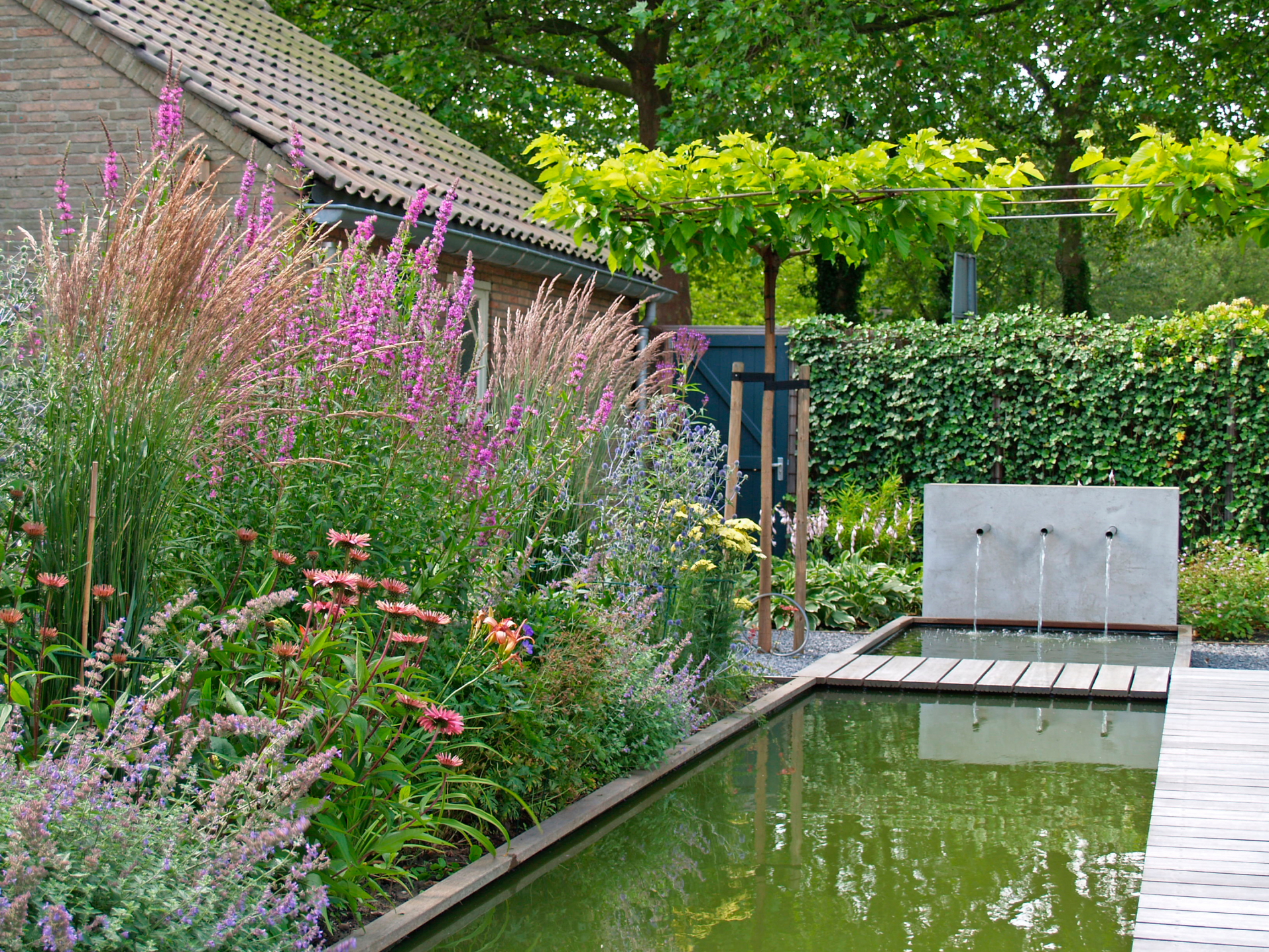 Moderne tuin met spiegelvijver en vlonderpad langs het water