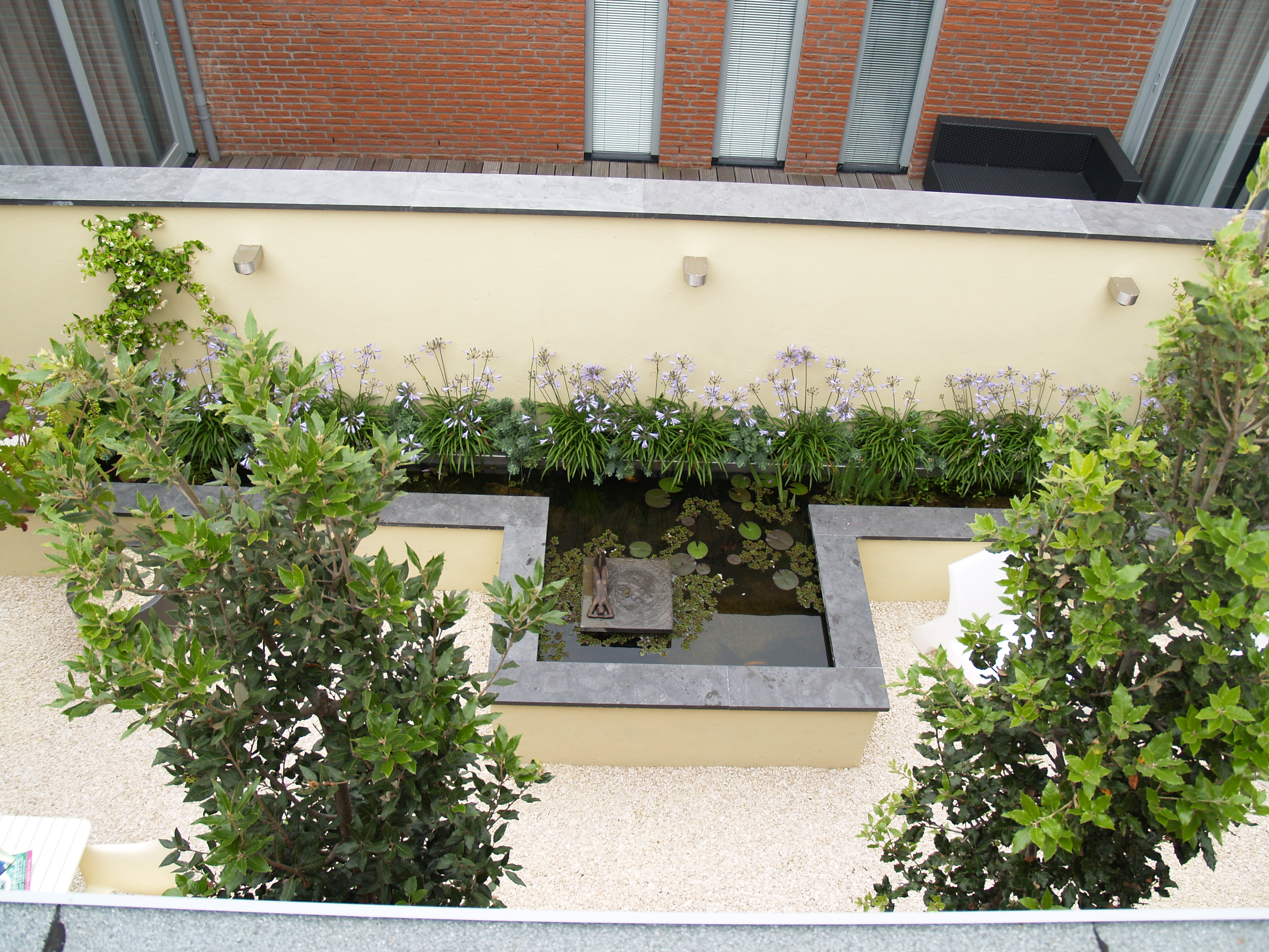 Patiotuin met verhoogde vijver en crèmegele muren