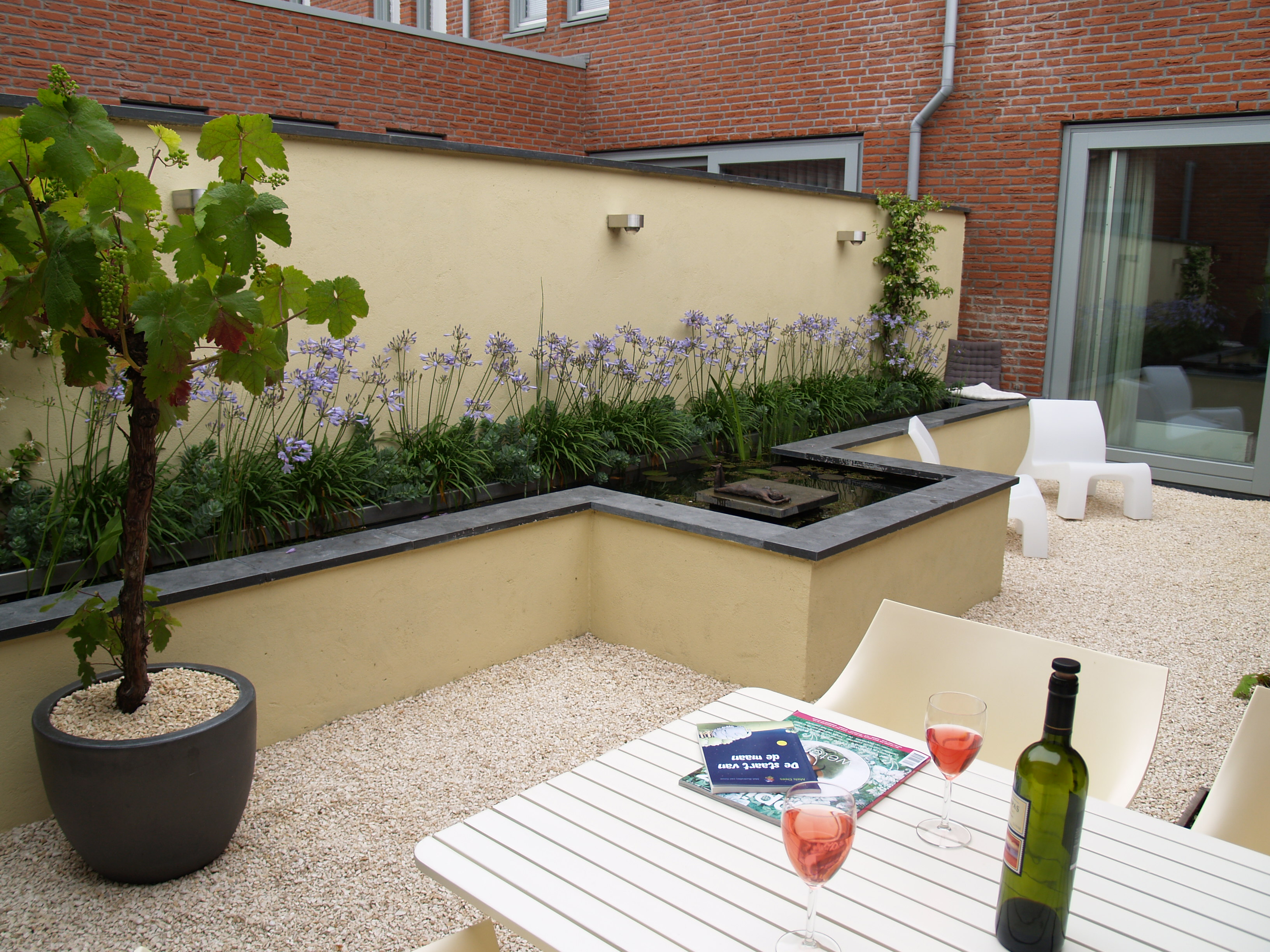 Verhoogde vijver met bloeiende Agapanthus en druivenrank