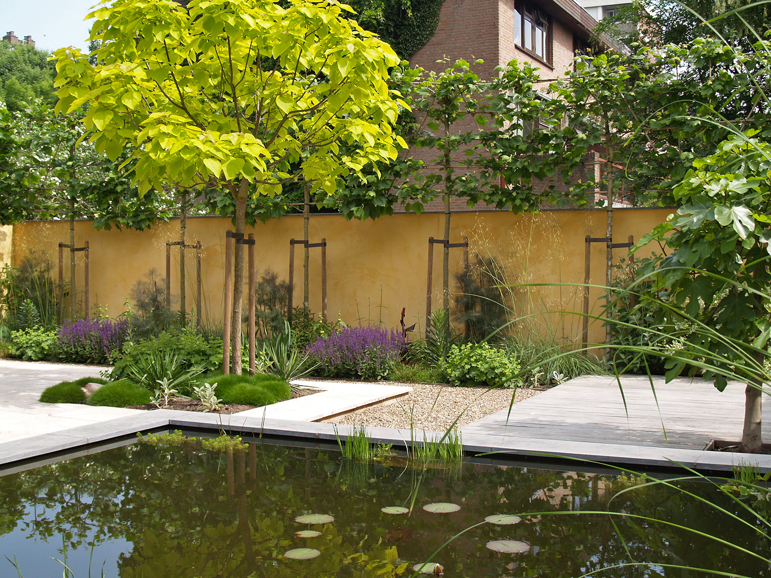 Tuin met vijver, okergele muren, bomen met steunen en paarse bloemen