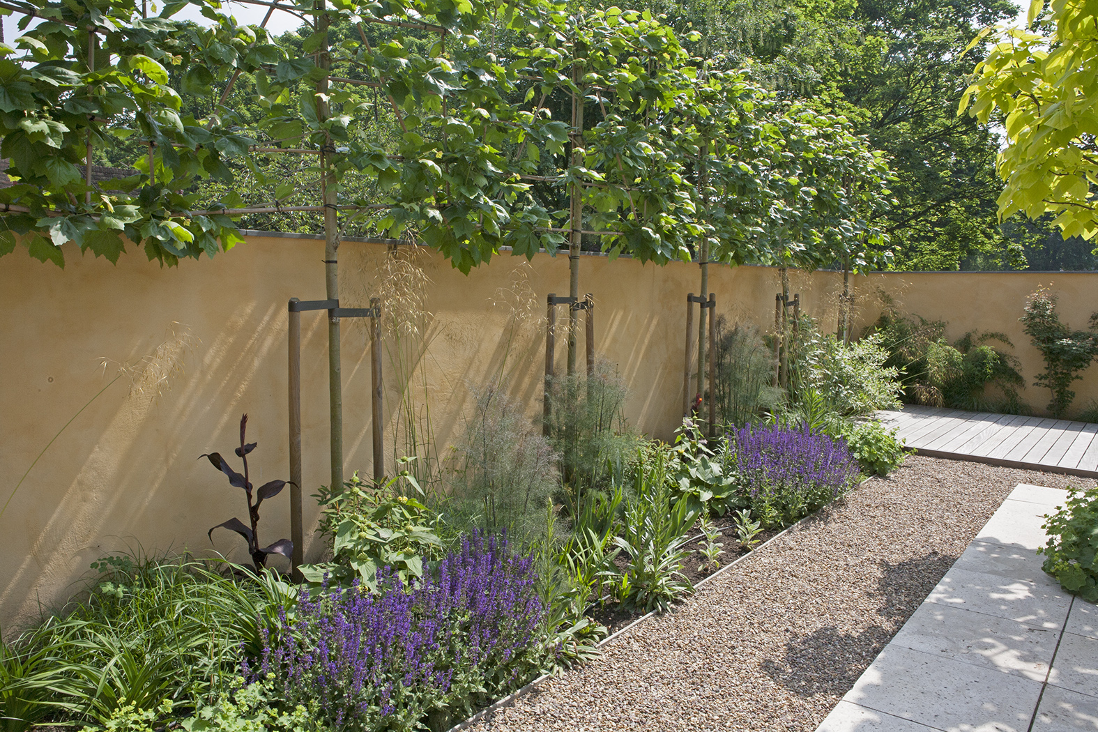 Okergele muren met platanen, grindpaden en paarse salvia