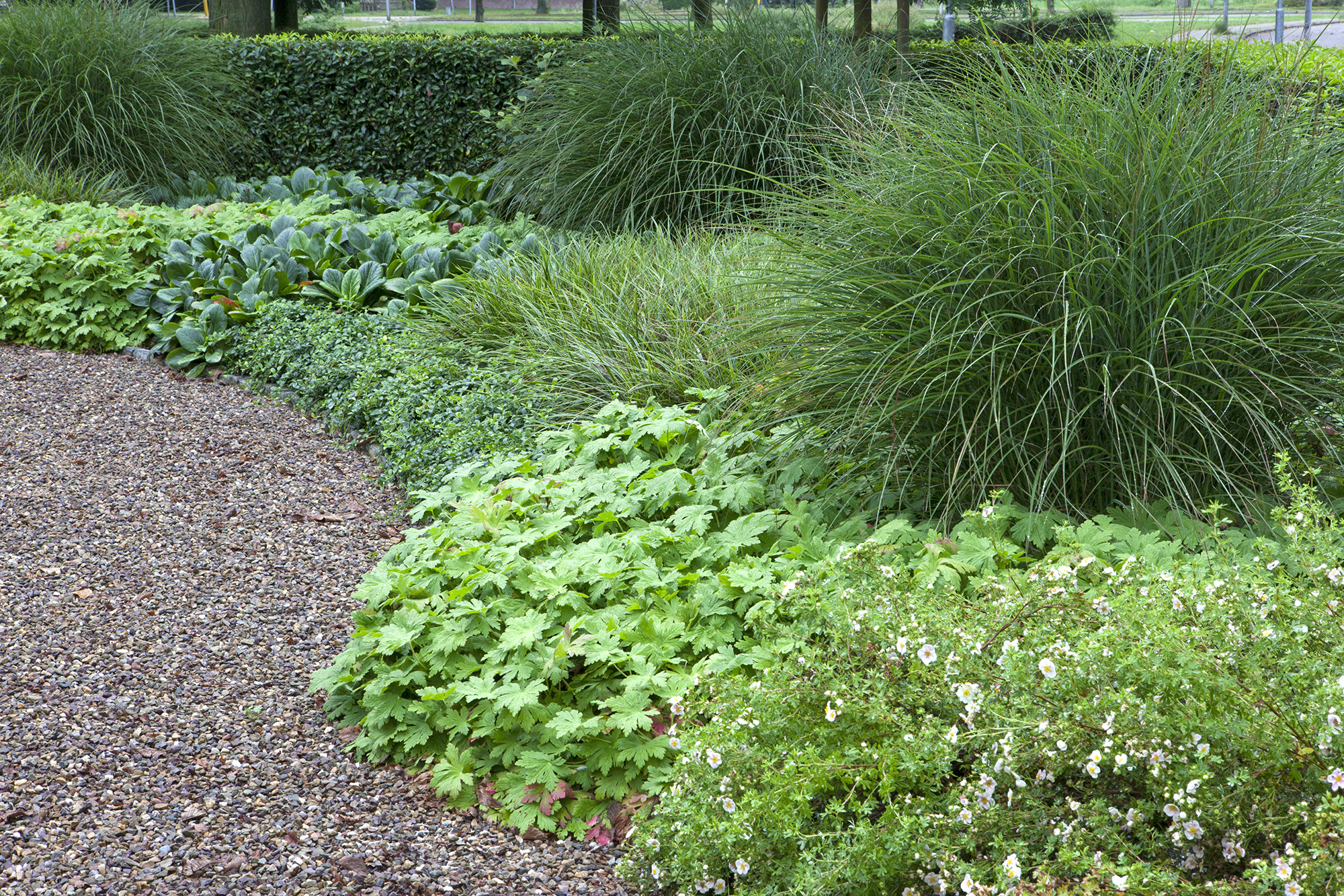 Grindpad met weelderige beplanting en siergrassen